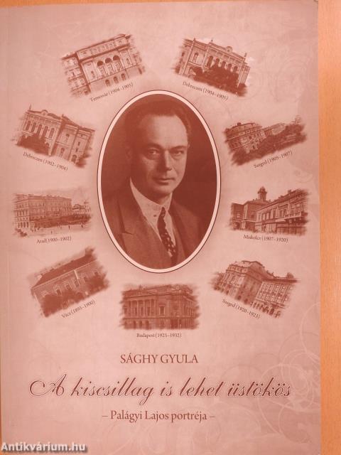 A kiscsillag is lehet üstökös (dedikált példány)