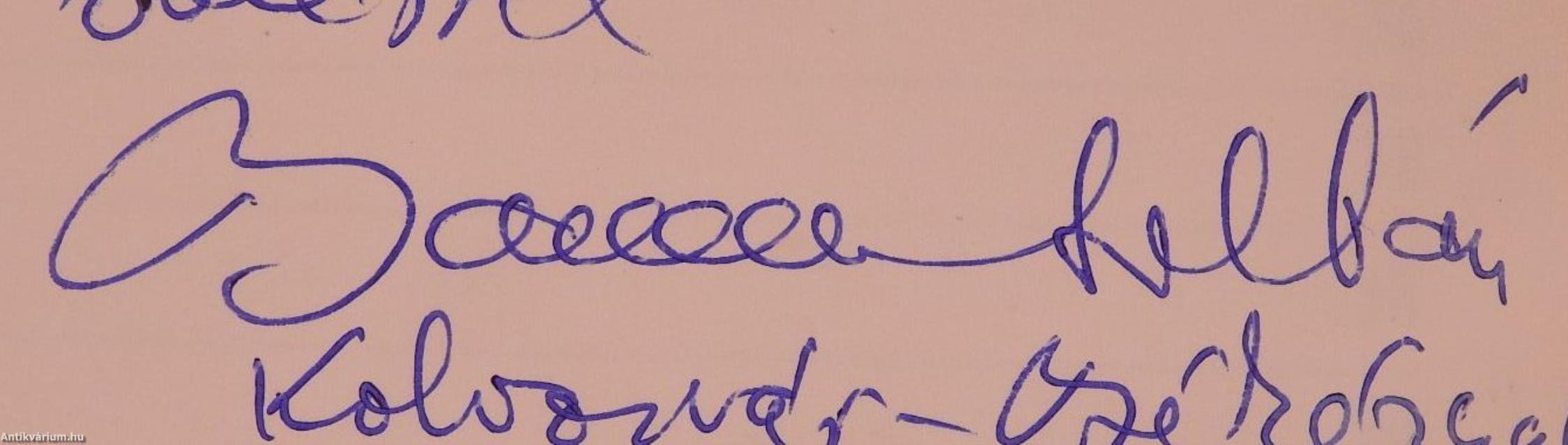 Erdélyi magyar művészet a XX. században (dedikált példány)