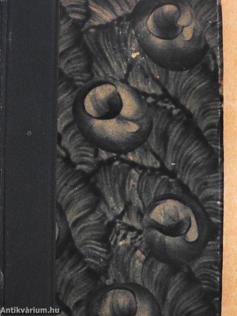 Elfrida és egyéb amerikai elbeszélések