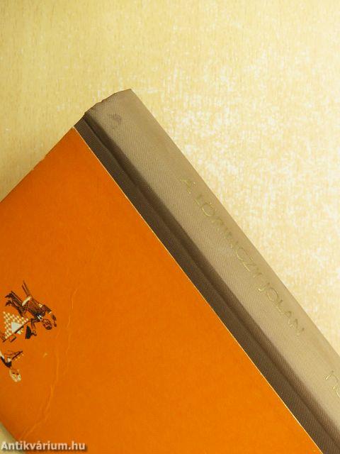 A modern háziasszony