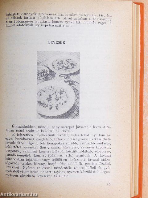 A modern háziasszony