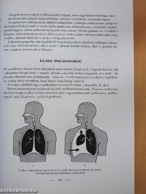 Klinikai ismeretek a belgyógyászat köréből ápolók részére