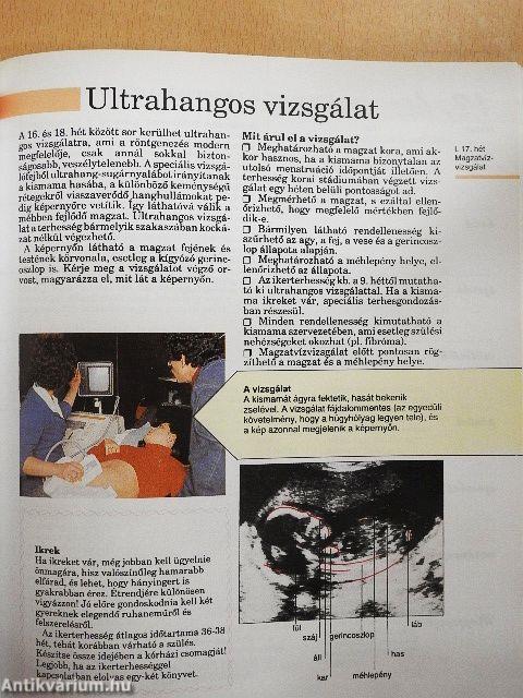 Terhesség hétről hétre