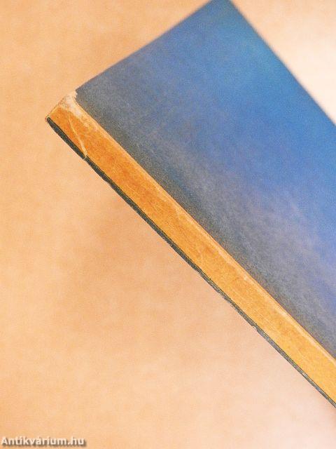 Wörterbuch der »Falschen Freunde des Übersetzers«