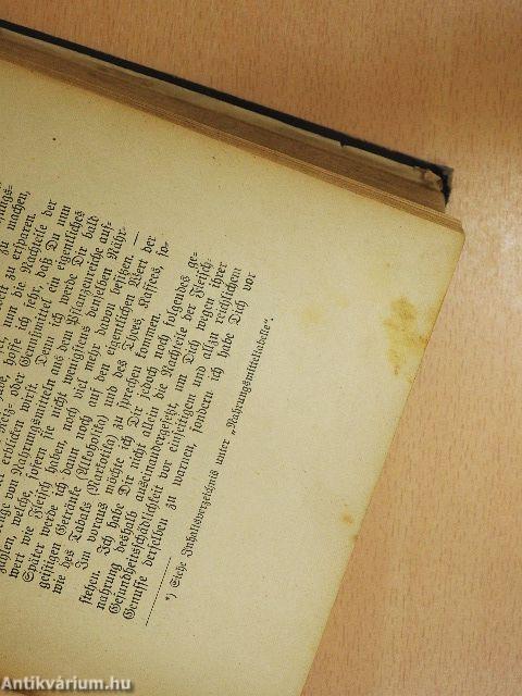 Die Neue Heilmethode I. (gótbetűs)