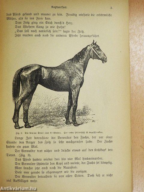 Keine Seuchen im Dorfe mehr! (gótbetűs)