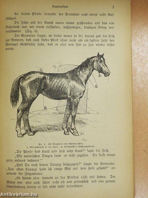 Keine Seuchen im Dorfe mehr! (gótbetűs)