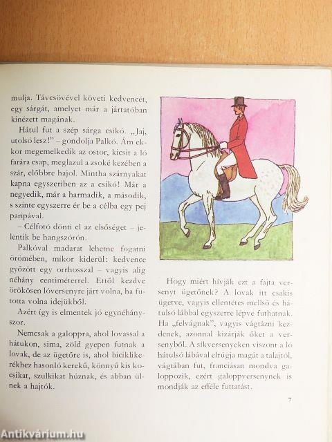 Sárga csikó, csengő rajta