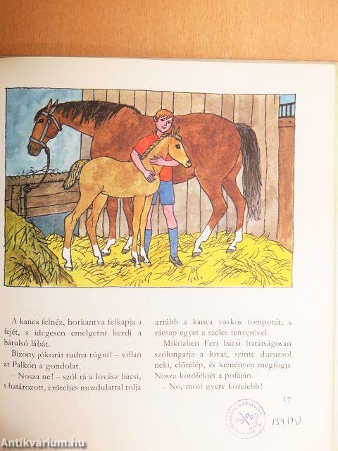 Sárga csikó, csengő rajta