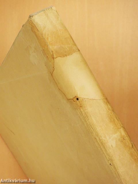 A székesfőváros multja és jelene