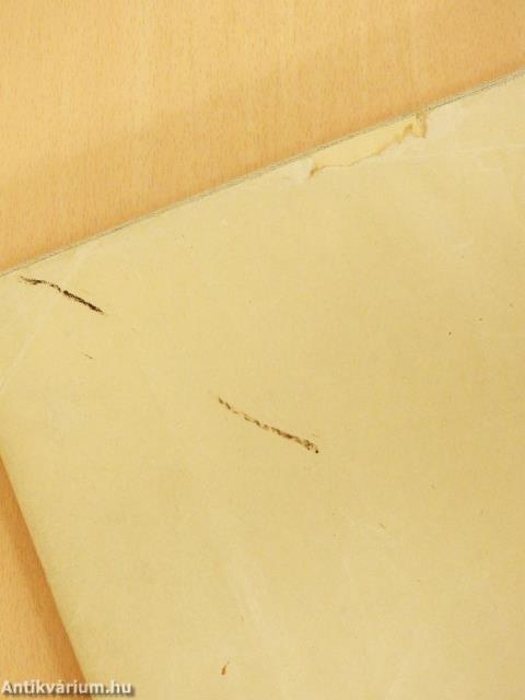 A székesfőváros multja és jelene