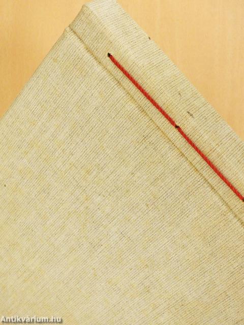 A székesfőváros multja és jelene