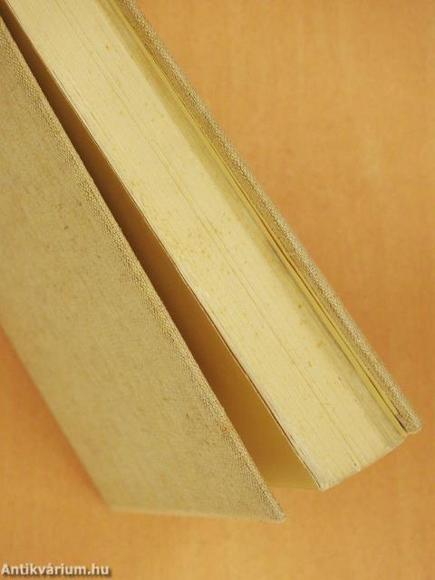 A székesfőváros multja és jelene