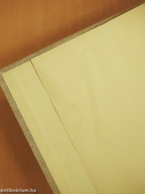 A székesfőváros multja és jelene