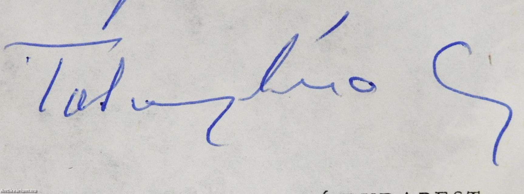 Lyuk a tetőn (dedikált példány)