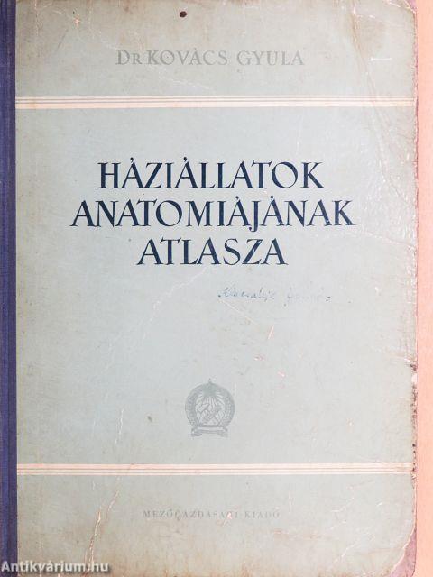 Háziállatok anatomiájának atlasza