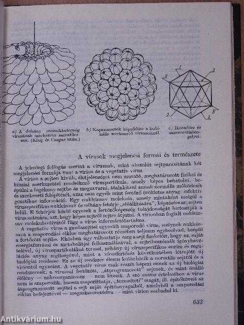 Magyar Tudomány 1970. (fél évfolyam)