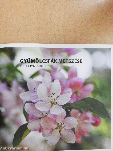 Gyümölcsfák metszése