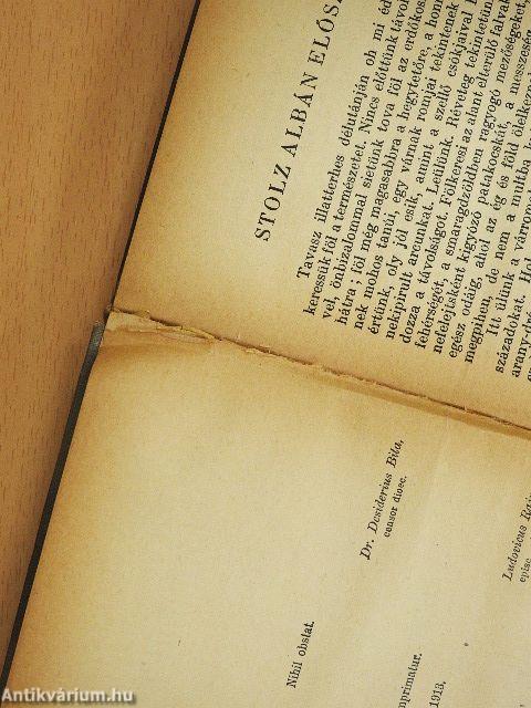 Magyarországi Szent Erzsébet élete