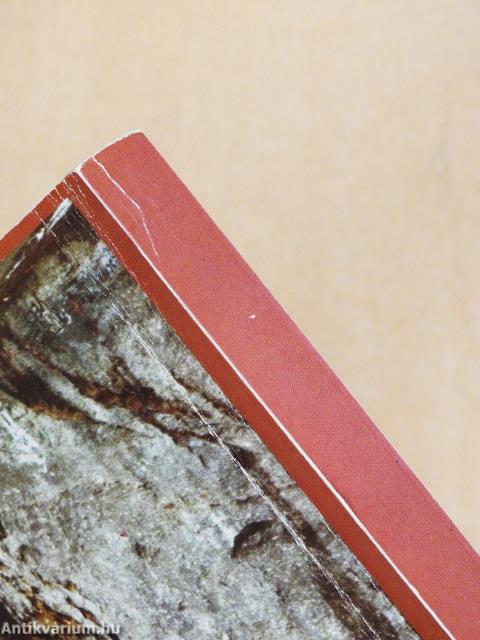 Erdély társadalom- és gazdaságföldrajza (kétszeresen aláírt példány)