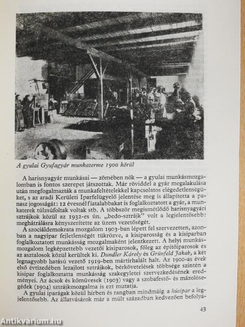 Gyula gazdaság- és társadalomtörténete a XVIII-XX. században (dedikált példány)