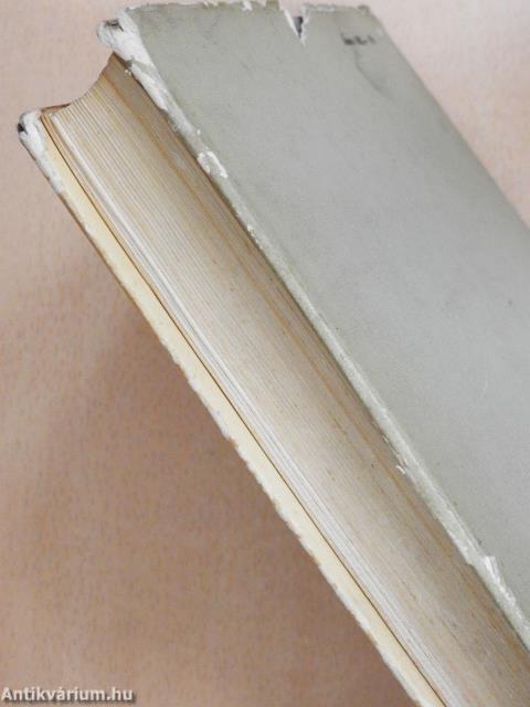 Nyelvőrségen (dedikált példány)