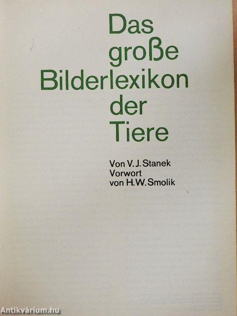 Das große Bilderlexikon der Tiere