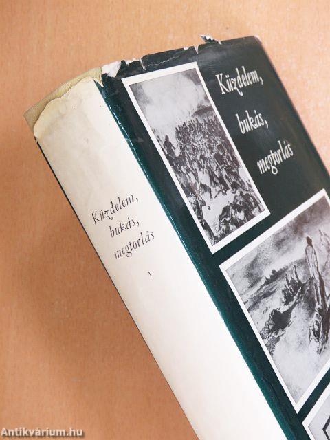 Küzdelem, bukás, megtorlás I-II.