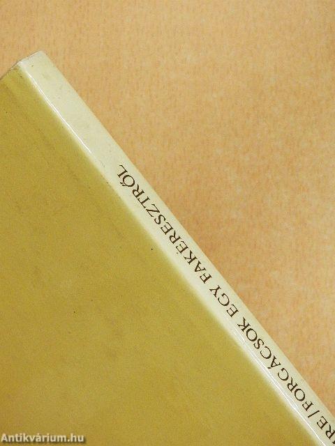 Forgácsok egy fakeresztről