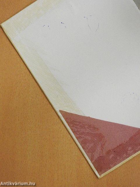 Gyere velem a városba!