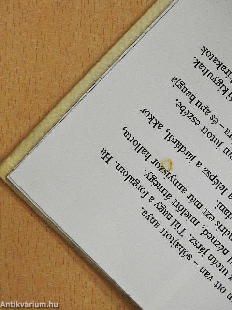 Gyere velem a városba!