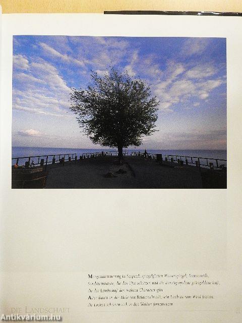 Balaton
