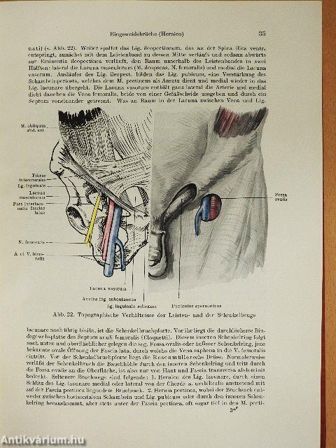 Lehrbuch der Speziellen Chirurgie II.