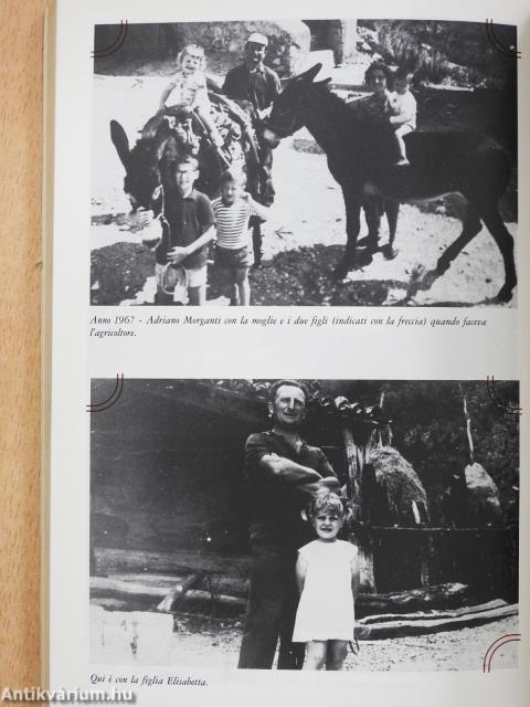 Cari ragazzi.... (dedikált példány)