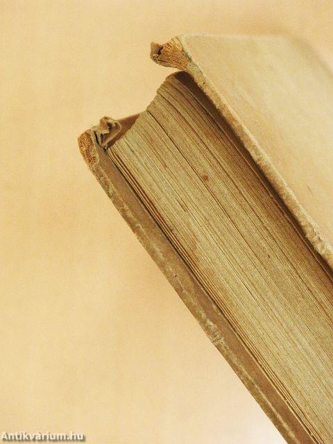 A város meg a sárkány