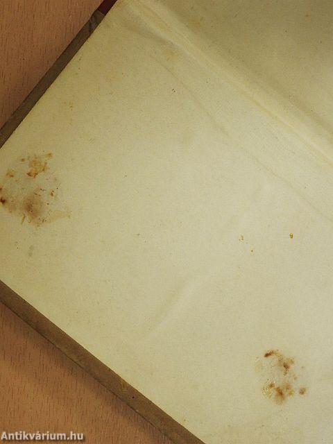 A város meg a sárkány