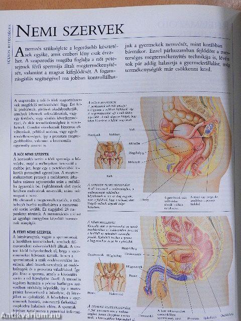 A homeopátia enciklopédiája