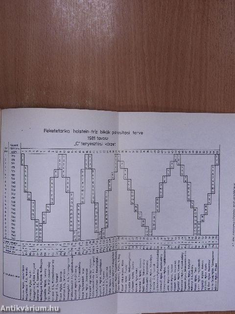 A szarvasmarha-tenyésztés eredményei 1981