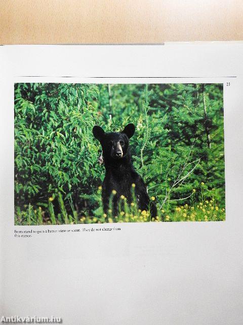 Game Animals of North America