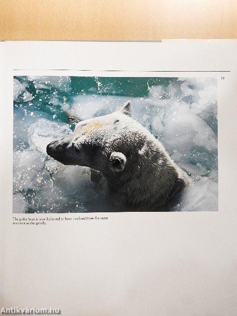 Game Animals of North America