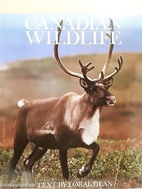 Canadian Wildlife