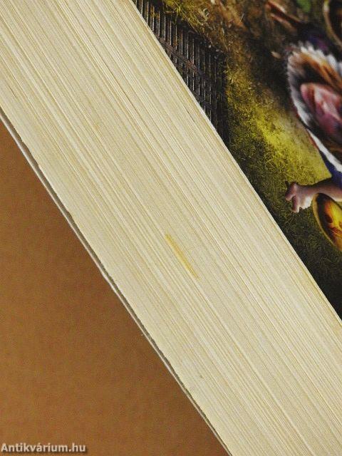 Lord Valentine kastélya