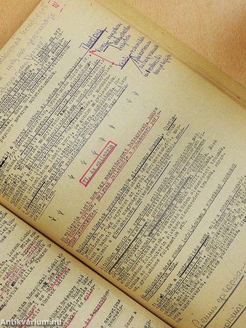 Elmekórtani jegyzet