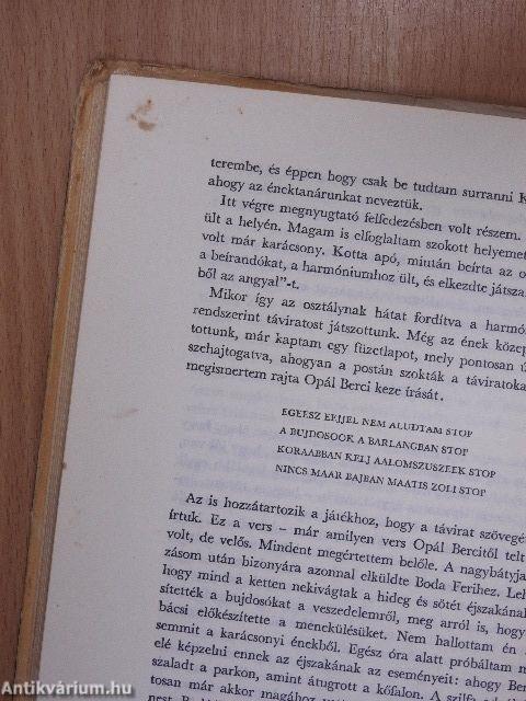 Puskák és galambok