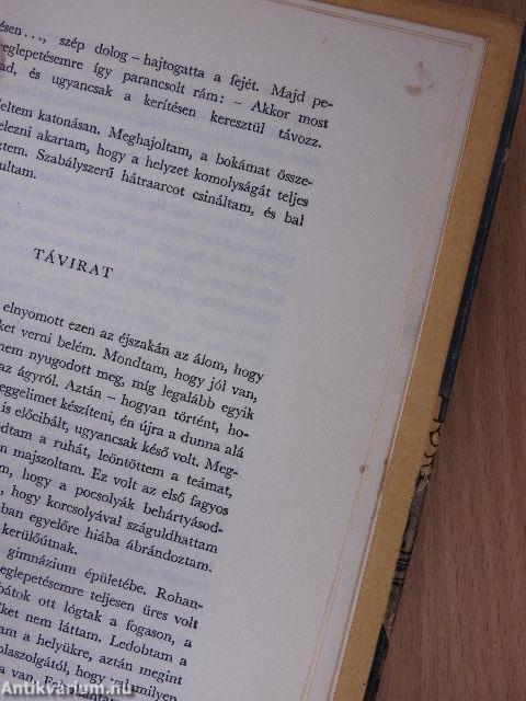 Puskák és galambok