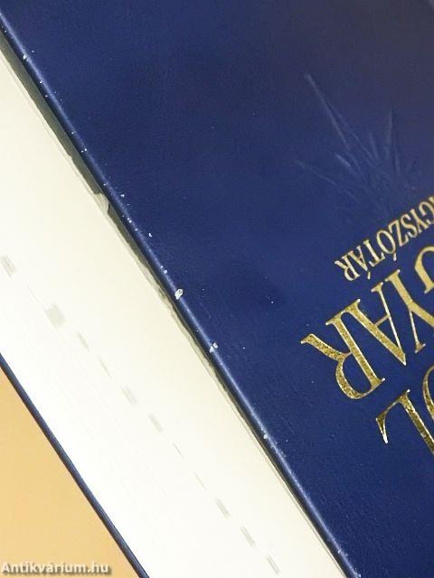 Angol-magyar nagyszótár