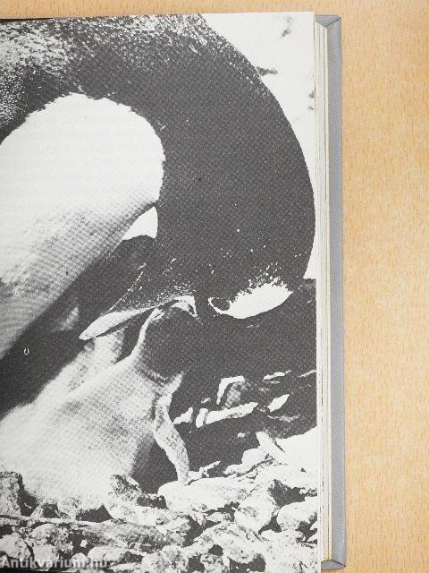 Ismeretlen ismerősök