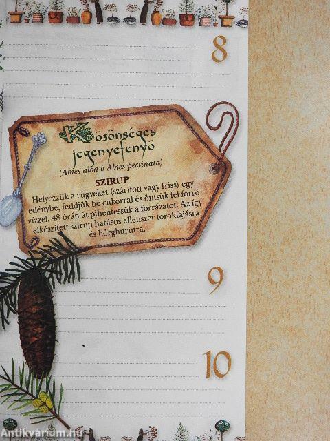 Gyógynövények - Testnek és léleknek