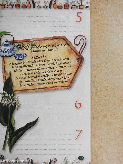 Gyógynövények - Testnek és léleknek