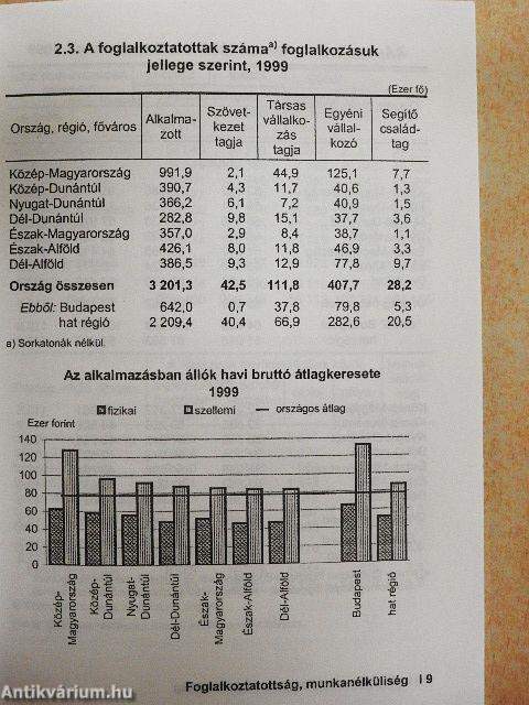 A magyar régiók zsebkönyve '99